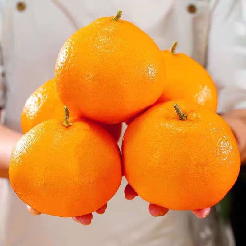 酷果汇春见粑粑柑新鲜现摘水果甄选品质彩箱礼品盒装产地直发5/8斤装 净重8斤【性价比高-全家爽吃】85MM+