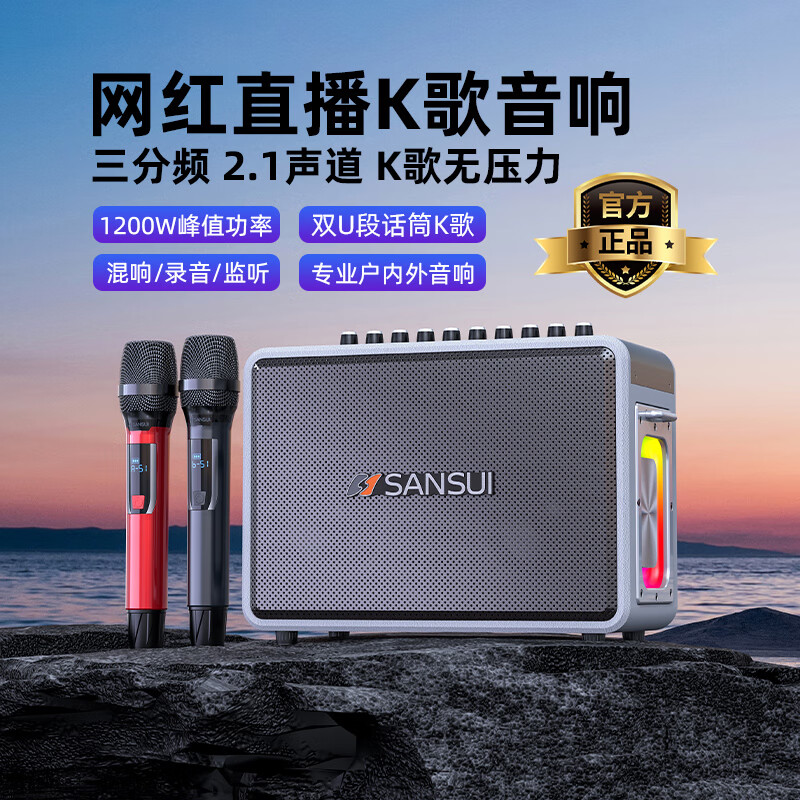 山水(sansui)音响功放一体机2024新款全新升级家用户外便携手提式直播