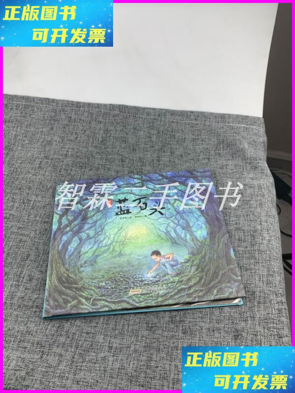 【二手9成新】野孩子:蓝石头 安徽少年儿童出版社