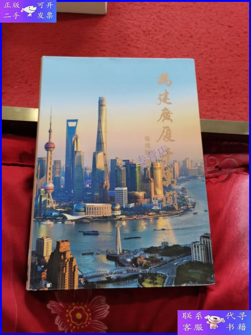 【二手9成新】为建广厦千万间