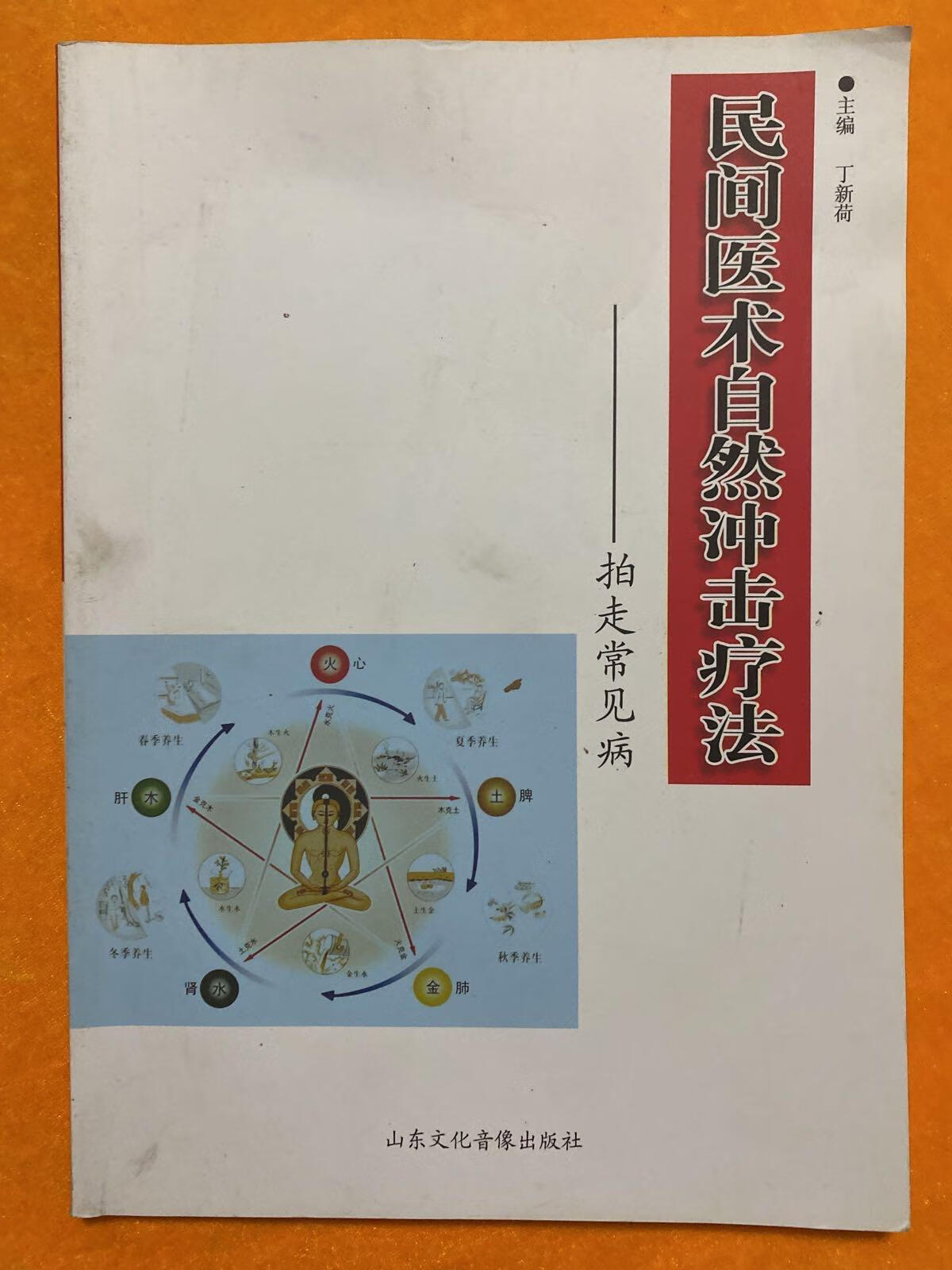 [二手9成新] 民间医术自然冲击疗法—拍走常见病