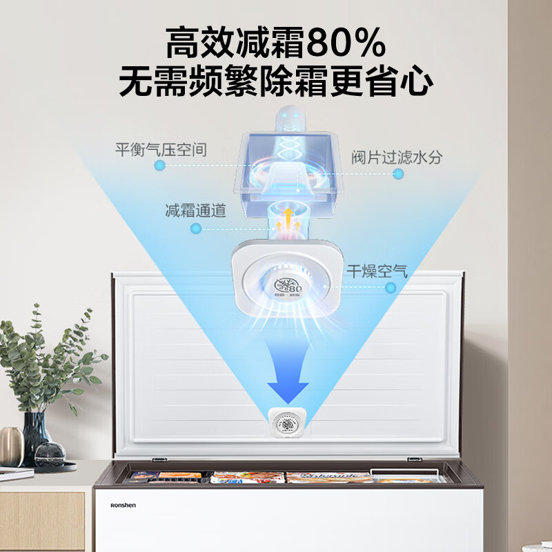 容声（Ronshen）300升低霜大容量冰柜家用商用冷藏冷冻转换冷柜 一级能效 雪糕冰柜 厨房卧式冰箱BD/BC-300ZMSM