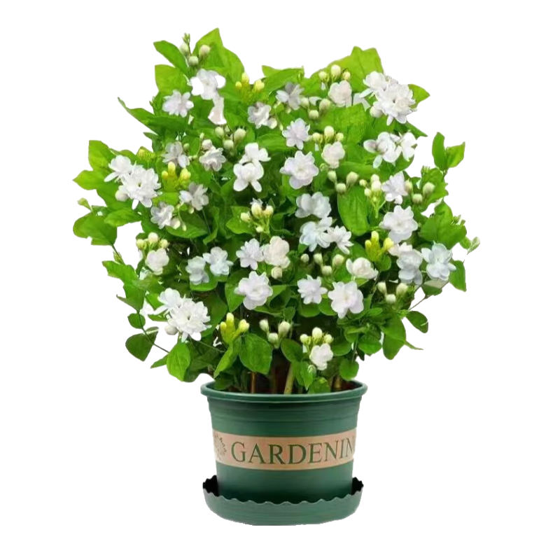 ֮Իֲ̨  8-12+1 Դͷֱ