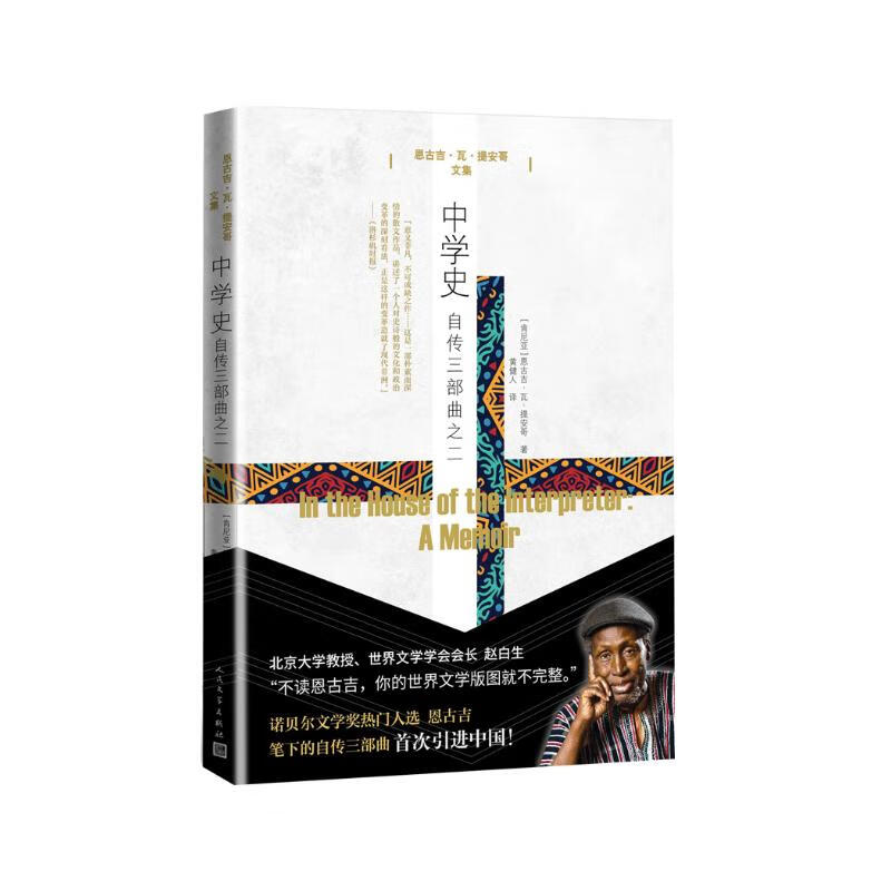 中学史：自传三部曲之二 小说