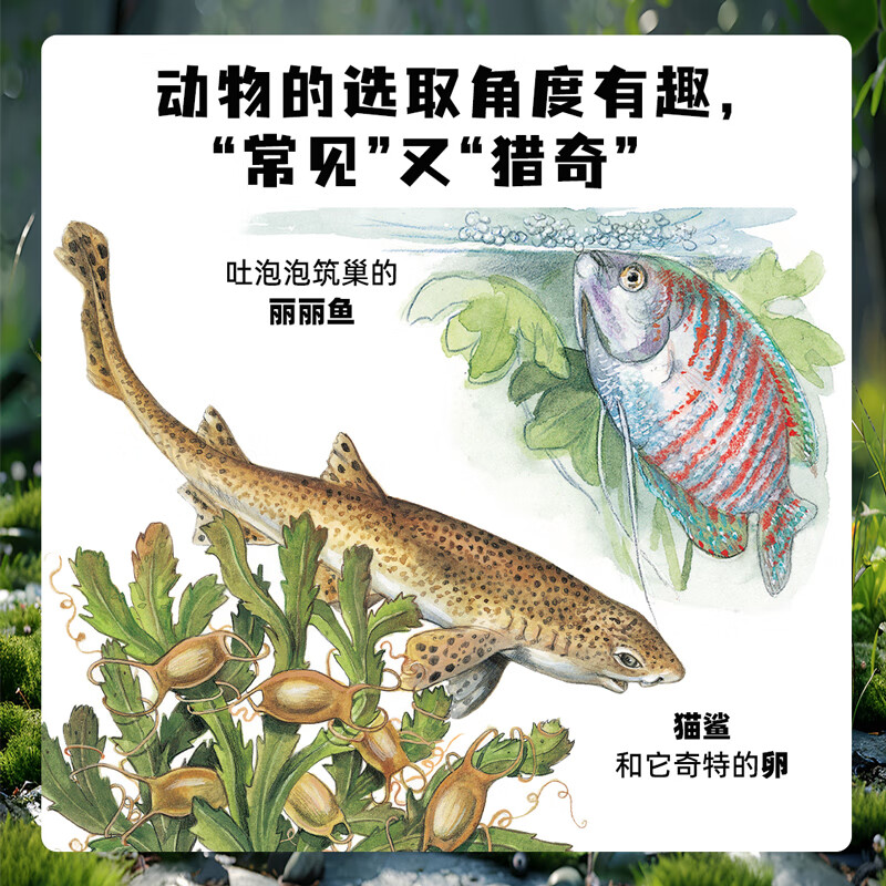 生命的故事 手绘版 400多物种80张翻页 动物世界昆虫朋友大百科自然科学科普绘本自然启蒙全书 3-8岁幼儿园儿童小学生课外阅读