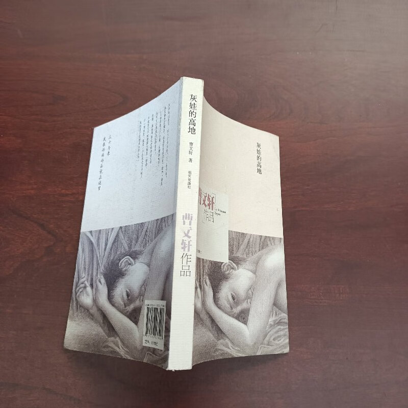 【绝版旧书】灰娃的高地