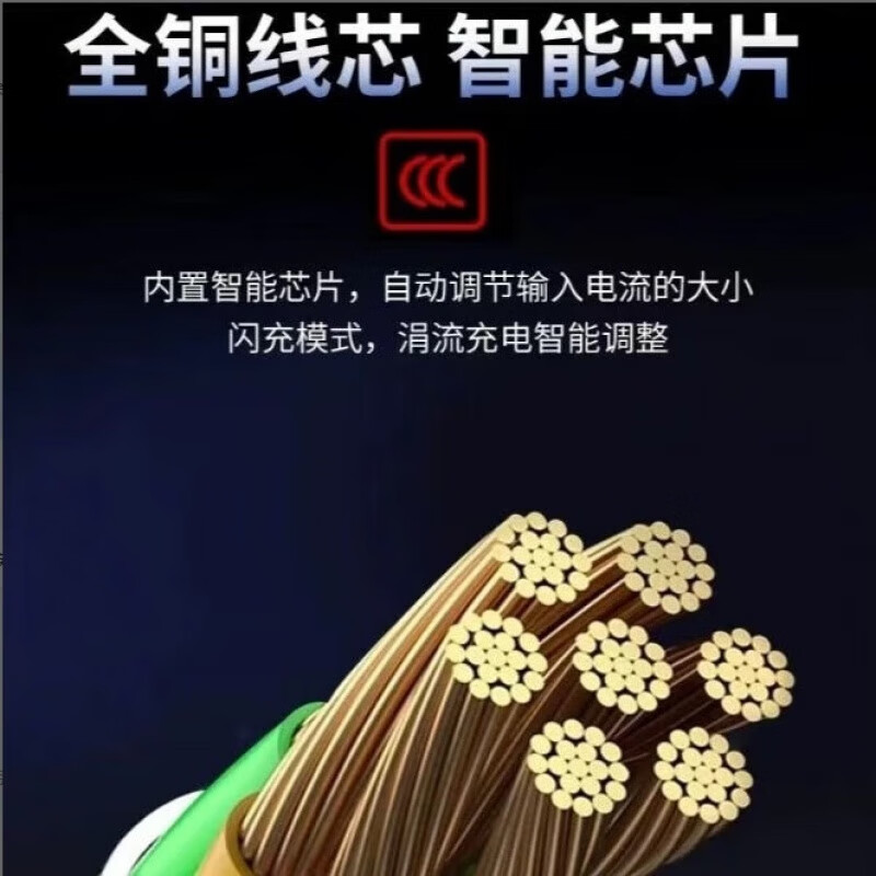 适用星恒锂电电动车电瓶车锂电池充电器48V2A48V3A输出54.6V3.0A 48V2A(锂电输出54.6V2.0A) 品字头