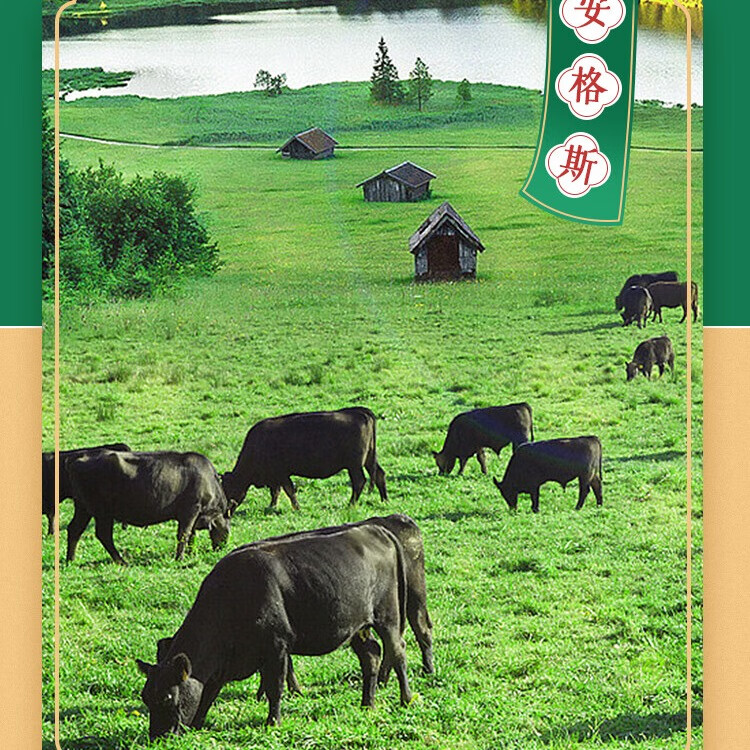 牧伯人齐齐哈尔烤肉椒香麻辣牛肉川香麻辣安格斯牛肉半成品 椒香麻辣牛肉250g/袋*6袋1500g