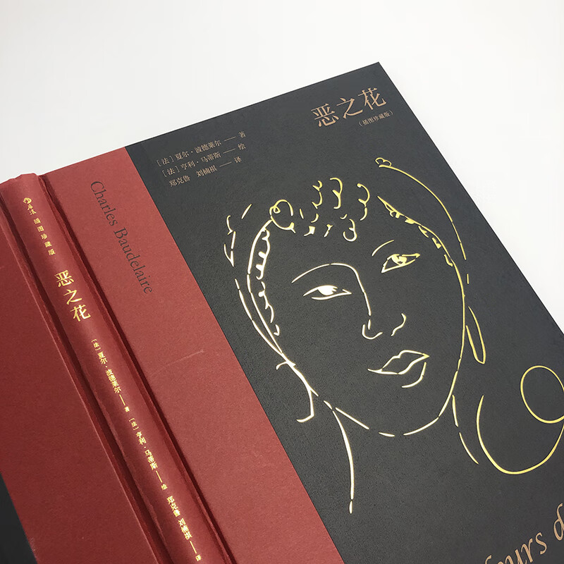 恶之花 名家名译插图珍藏版 郑克鲁刘楠祺译 野兽派绘画配图 法国象征