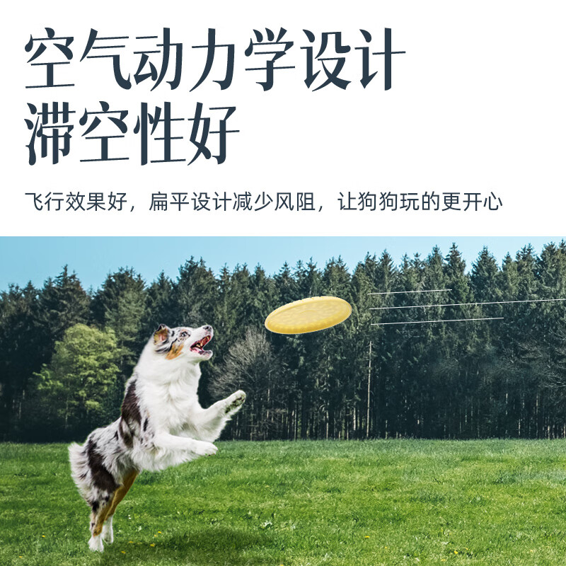 GERTHRON德国狗狗专用飞盘户外训狗耐咬软飞碟边牧金毛小中小型犬宠物训练 蓝色*2【柔软耐咬飞盘】 小中大型犬适用