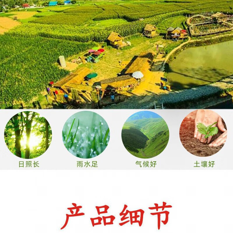 厂家直供泰国蜈蚣贴颈椎膝盖专用腰椎间盘非止痛贴脖子肩膀酸 一盒装8贴