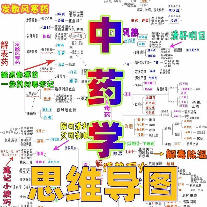 本科期末考试/中药学/思维导图/重点考点框架图 中药学思维导图a3彩