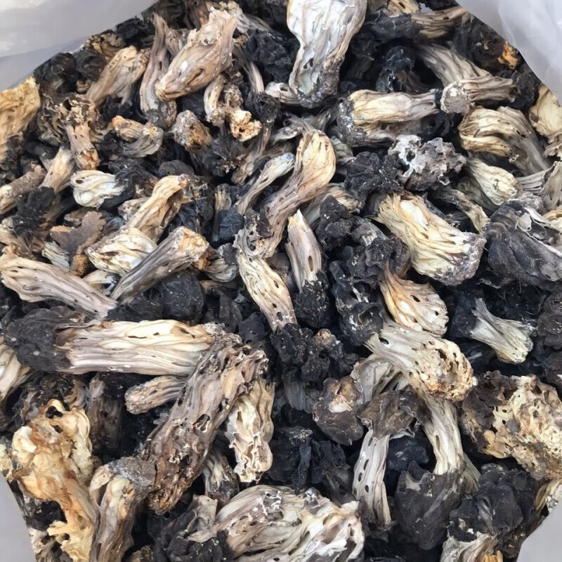 禾澹木耳蘑 巴楚蘑菇 皱柄羊肚菌木耳蘑承德特产干货食用蘑菇 250g