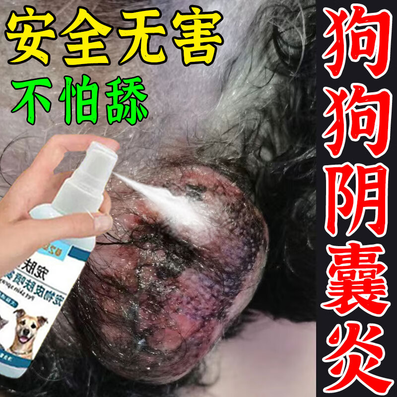 狗狗阴囊炎专用狗蛋蛋趾间发炎红肿溃烂流脓皮肤病瘙痒消炎抑菌喷剂猫