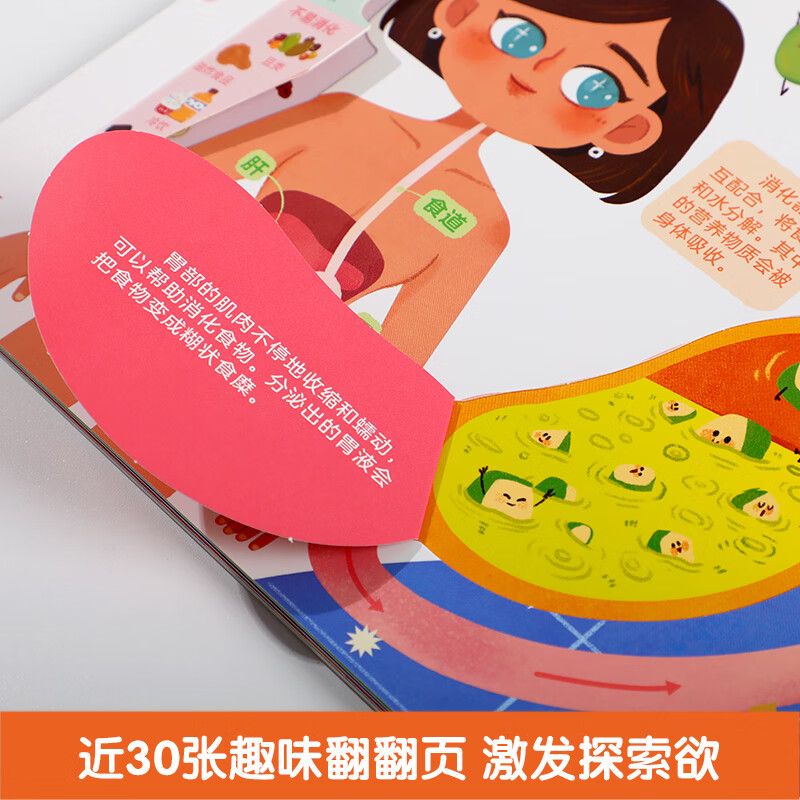 ����è���װ��������ְҵ��ͨ���߰ٿƷ����� ��С�ν�ͷ���ܶ�Ա˼άѵ����Ϸ�� ��������