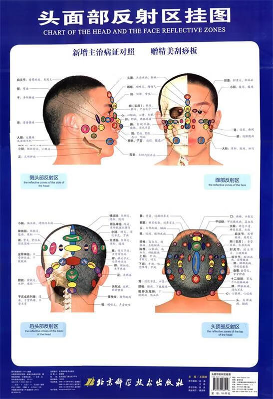 头面部反射区挂图-赠精美刮痧板 王国顺 北京科学技术出版社