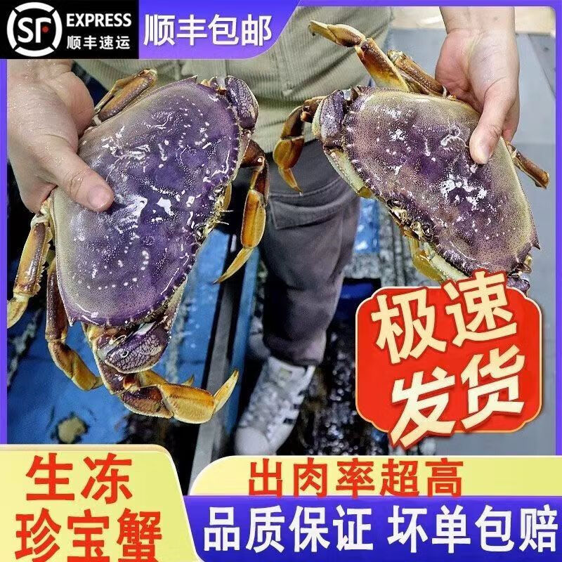 鲜活珍宝蟹面包蟹螃蟹新鲜海鲜水产进口黄金蟹太子蟹海鲜水产 1.