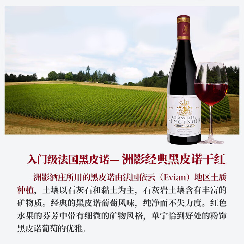 洲影酒庄勃艮第酒庄法国原瓶进口红酒 干红葡萄酒13度送礼 【六支整箱】黑皮诺干红-2018年