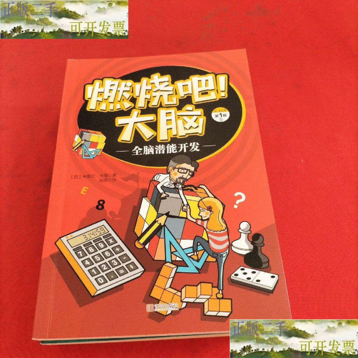 【二手9成新】燃烧吧大脑:第1辑【1逻辑思维游戏,2疯狂大脑训练,3突破