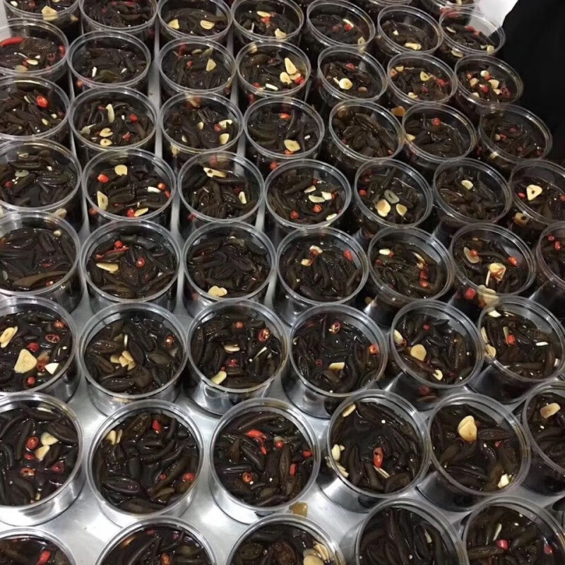 顺丰陈醋海松茸深海冰笋海藻冰藻参海菜海带丝特色凉拌菜即食 海松茸5罐