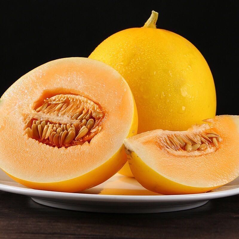 智颖源头茬黄河蜜瓜 现摘新鲜水果生鲜香瓜甜蜜瓜整箱现发 净重4.5斤蜜瓜 大果【2-4枚装】