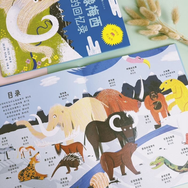 猛犸象梅西的回忆录详情图