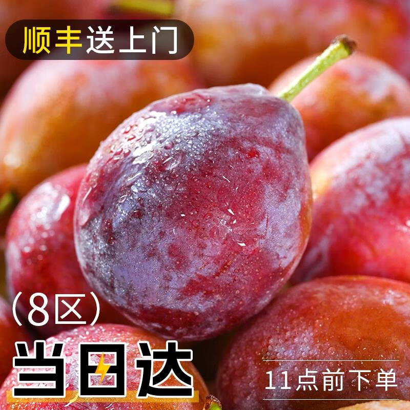 智利进口西梅5斤法兰西新鲜水果当季甜李子孕妇黑脆布林整箱 1斤 15