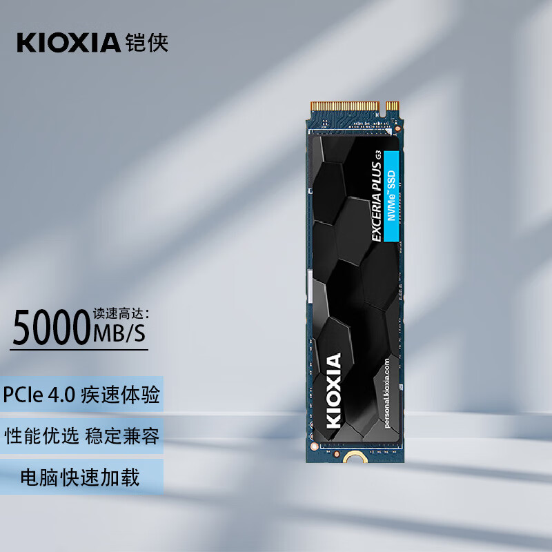 颠覆玩家 铠侠（Kioxia）SD10 SSD固态硬盘 NVMe M.2接口 2280 PCIe 4.0 EXCERIA PLUS G3 SD10 2TB