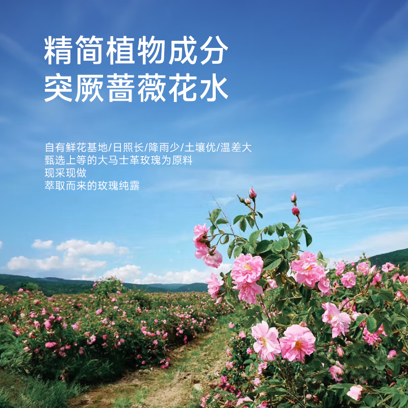 花兰槿大马士革玫瑰纯露爽肤水湿敷