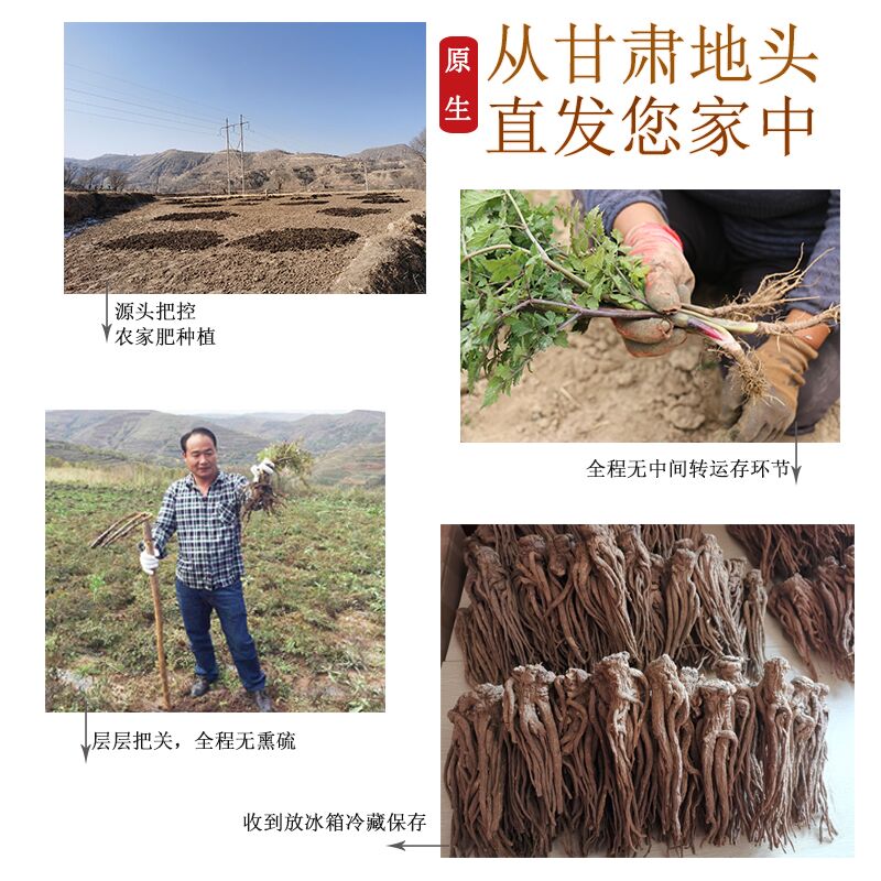 王立成当归500克袋装 全当归中药材 甘肃岷县特级当归无硫可打粉