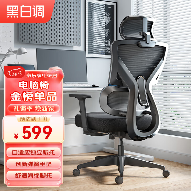黑白调（Hbada）P5双背款 人体工学椅电脑椅子办公椅学习人工力学椅电竞椅高配高性价比高么？