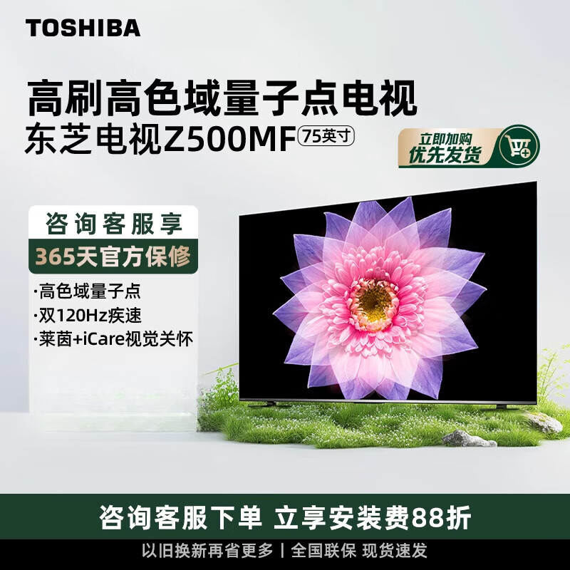 东芝(TOSHIBA)电视75寸量子点4K超高清平板电视机壁挂家用彩电官方【尾货机】 75Z500MF75Z500MF75Z500MF7 75英寸 x 官方标配