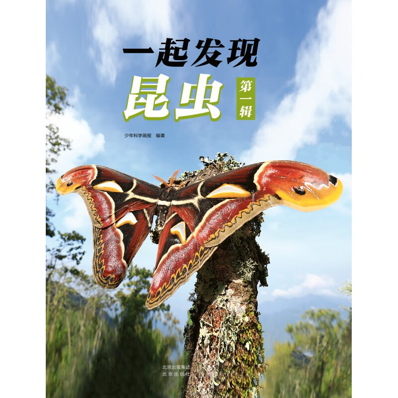 一起发现昆虫 昆虫的世界真的非常有趣 奇妙的昆虫世界 一起发现,昆虫