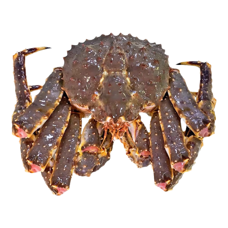 �ʻ��ٶ�����˹����˹�ӵ���з�ش��з���ʺ��� ��������з 4-4.4�ֻ��(��ʯ����) 528Ԫ