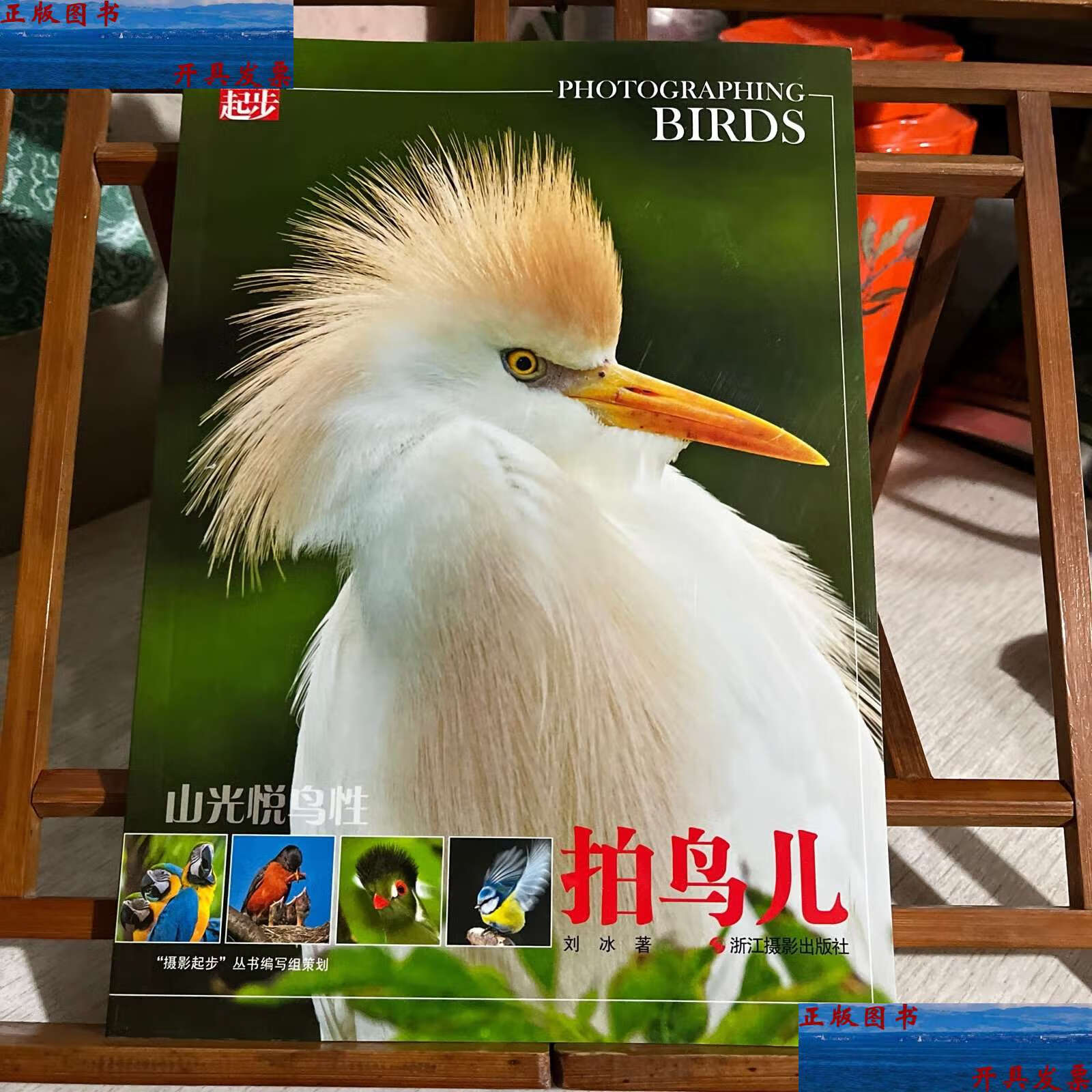【二手9成新】摄影起步·山光悦鸟性:拍鸟儿 /刘冰 浙江摄影