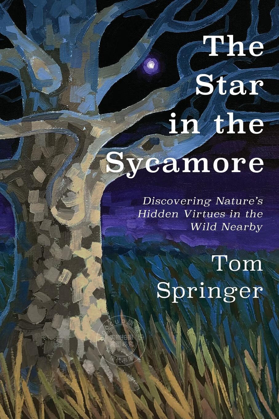 【2周达】【预售 按需印刷】the star in the sycamore