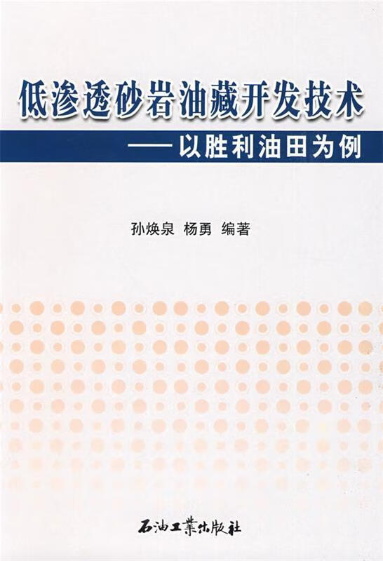 低渗透砂岩油藏开发技术:以胜利油田为例【稀缺图书,放心购买】
