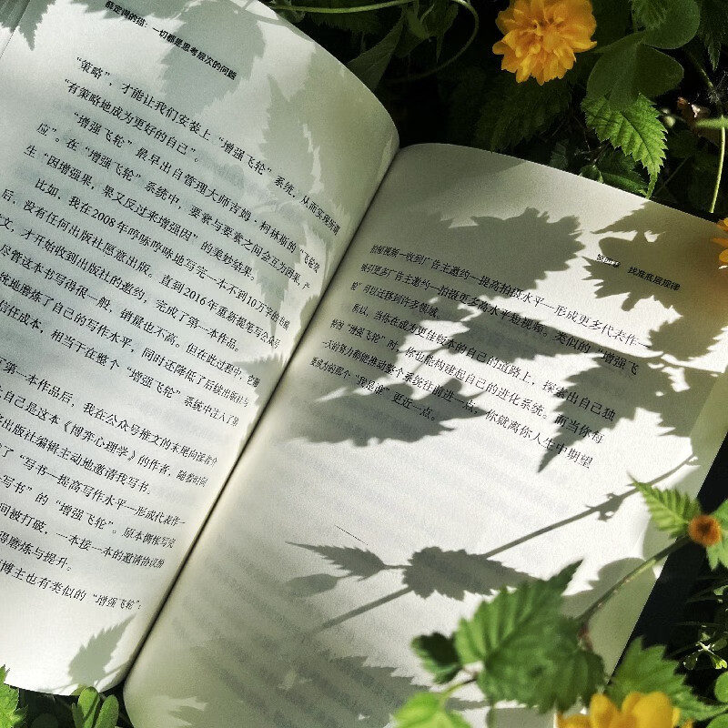 薛定谔的猫：一切都是思考层次的问题