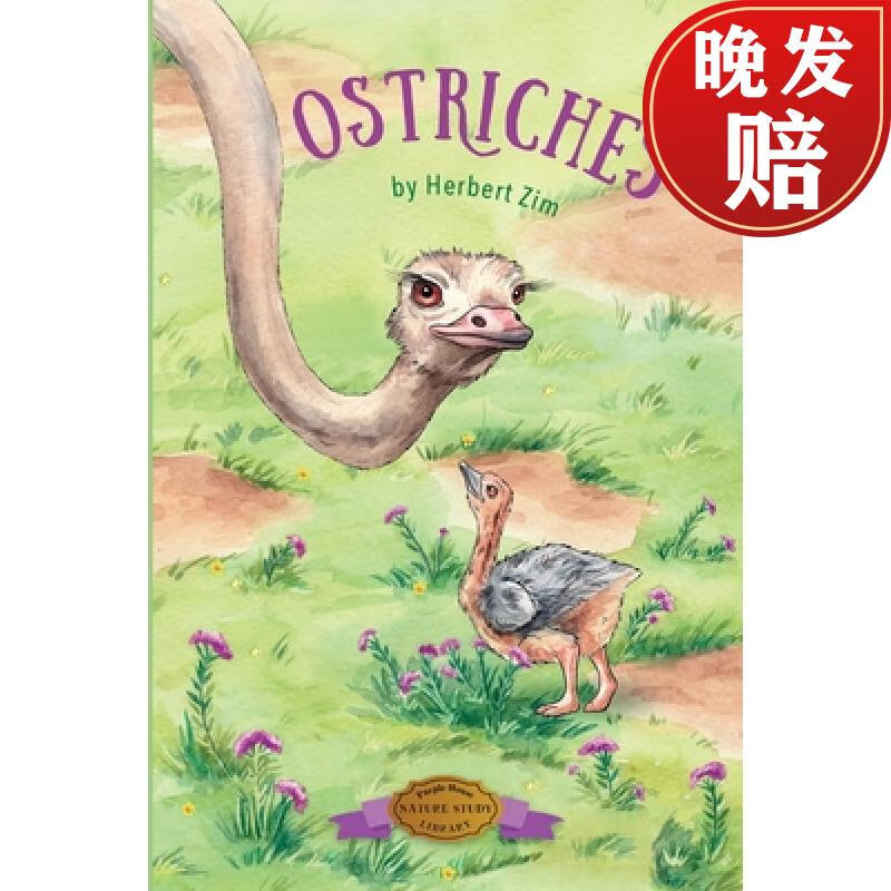【4周达】ostriches