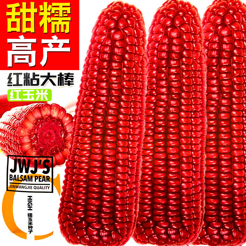 红粘大棒甜糯玉米种籽高产杂交白红糯玉米超甜水果甜玉米种孑 原装红
