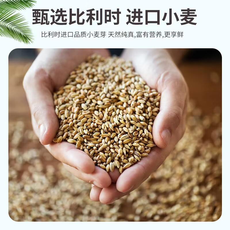 微沃精酿啤酒青岛产优质原浆德式比利时小麦白啤500ml*12罐装整箱批发 12罐*500ml【整箱装】 微沃精酿原浆小麦白啤听装12.1度