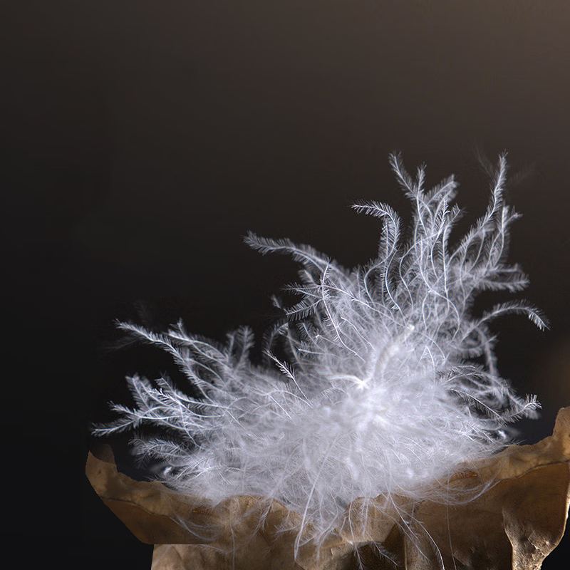 京东京造Duvet D'oie杜唯朵羽绒被 95%国产鹅绒被子冬季1150g 2.2*2.4米
