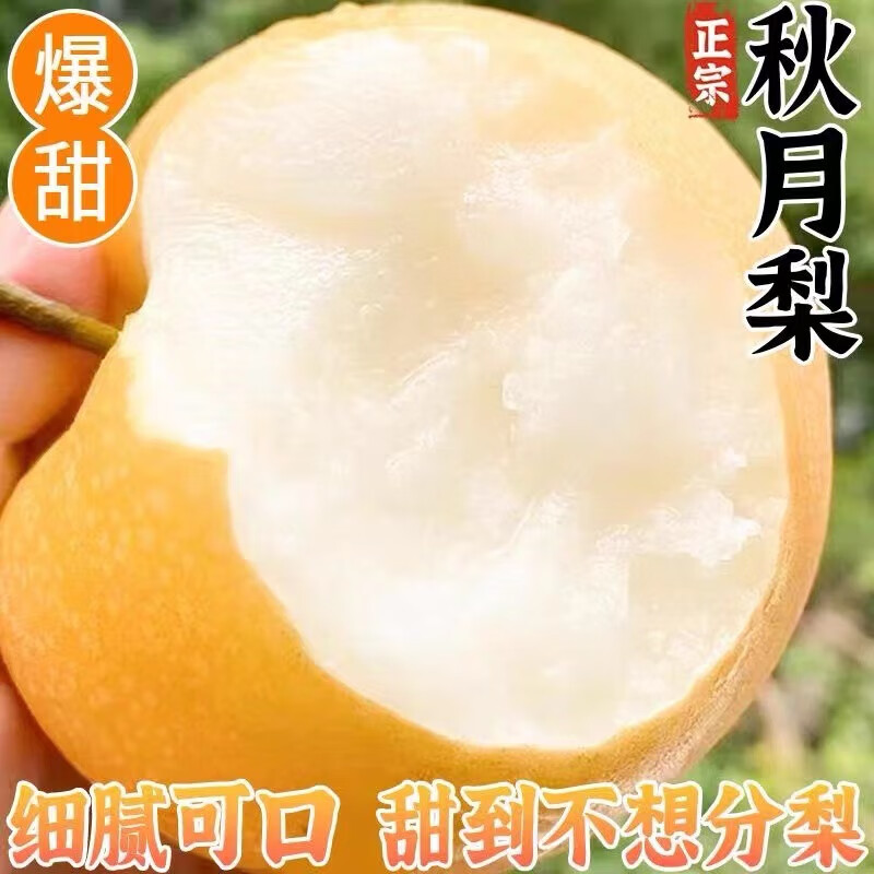 秋月梨山东莱阳新鲜冰糖梨水果黄梨现摘清甜多汁产地直发精品礼盒 净重4.5斤大果(5-7枚)