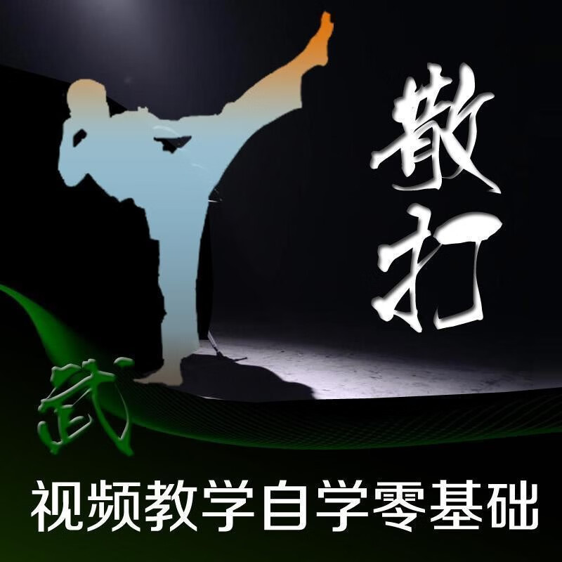 散打教学自由搏击视频自学教材武术功夫零基础入门教程训练