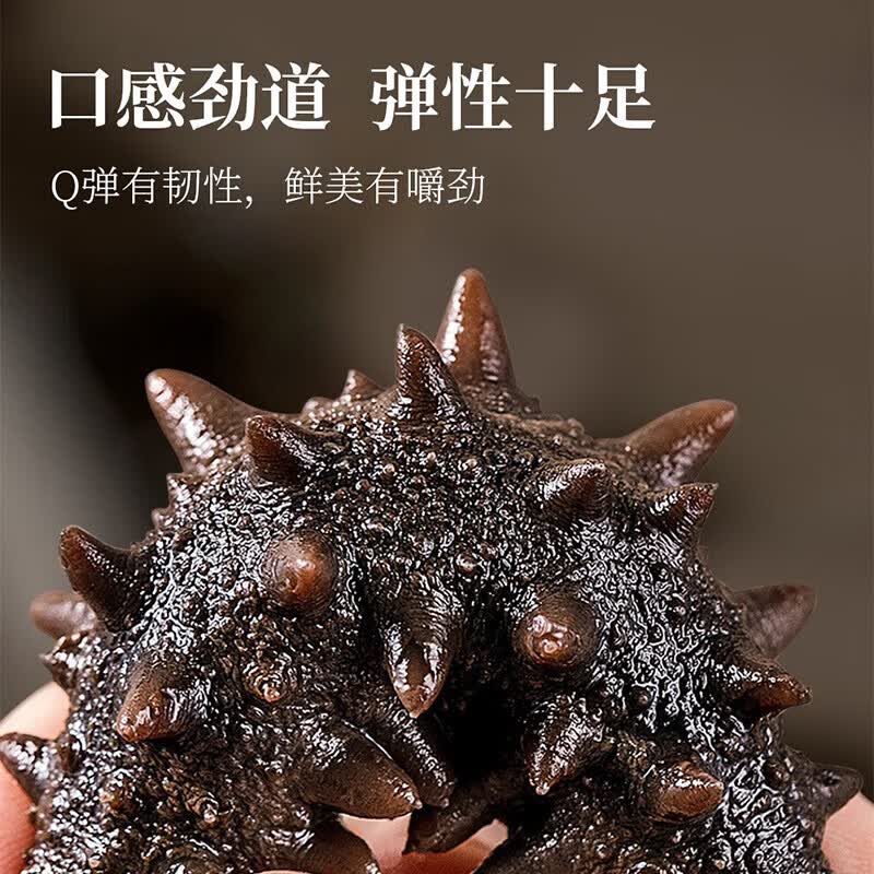 星龙港 大连冷冻即食海参  海鲜水产 固形物含量≥80% 即食海参500g5-10头 500g