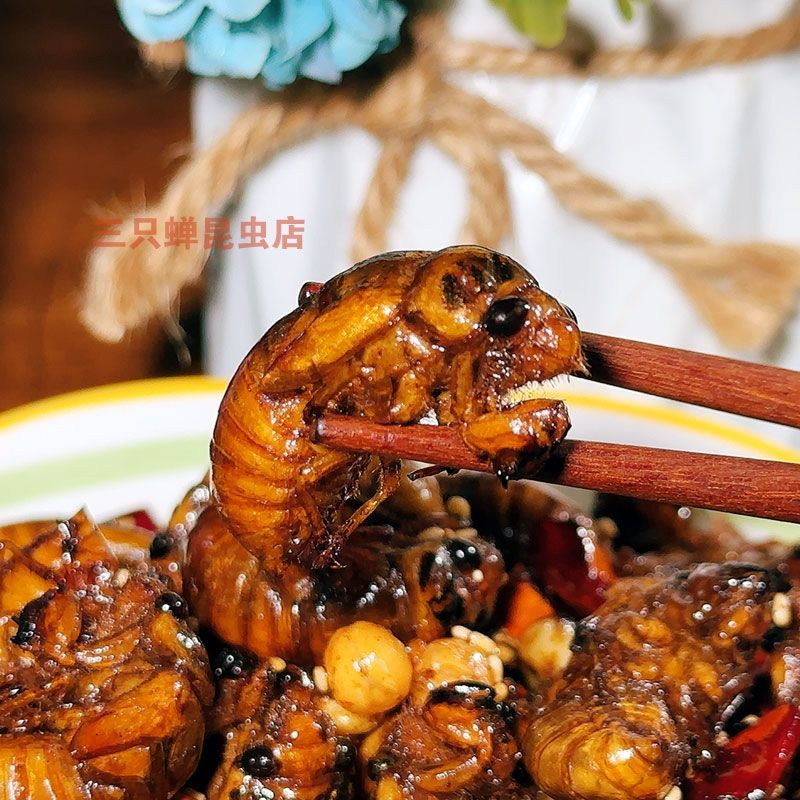 食芳溢油炸金蝉沙地梨园知了猴昆虫即食好吃炸蝉蛹爬叉猴 先炸后炒香