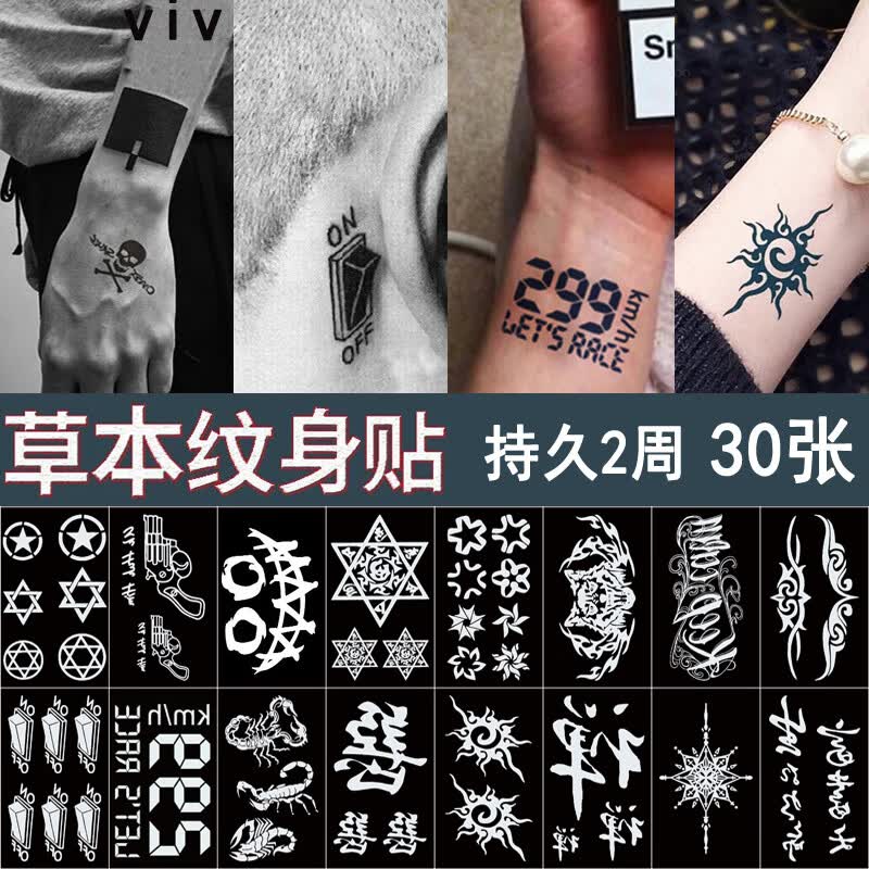 vieruodis30张升级草本纹身贴果汁标志图腾个性半防水男女仿真植物刺青