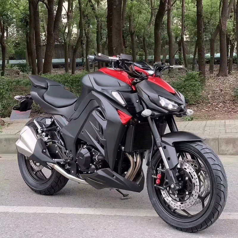 智定者二手z1000大蟒蛇n19双缸水冷400cc街车重机车摩托车手续齐全