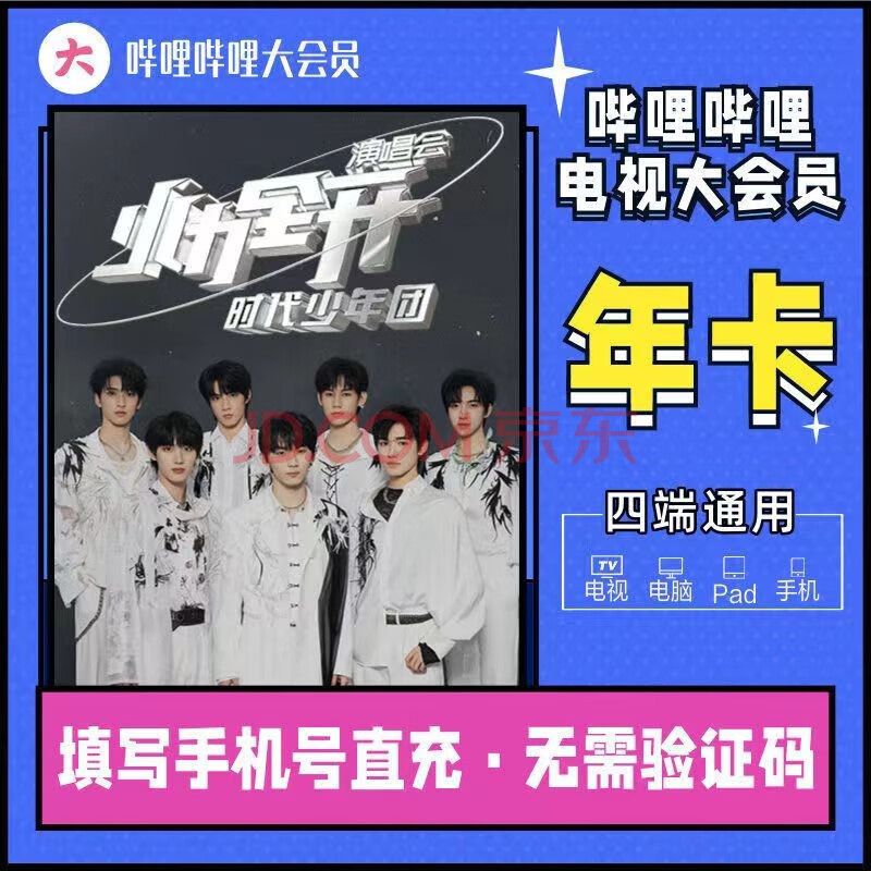 哔哩哔哩会员12个月 bilibili会员B站大VIP会员1年卡 【填写手机号】 bilibili 哔哩哔哩超级大会员年卡（支持电视端）