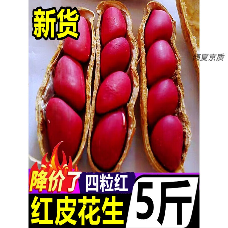 白创唯四粒红带壳红皮花生10斤2024新货新鲜干花生米红衣农家自种生